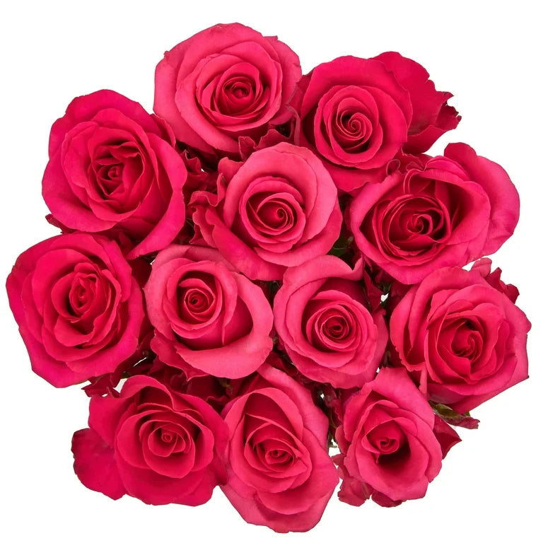 Rose Gülleri