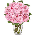 15 розовыx роз. Бесплатная доставка!!!