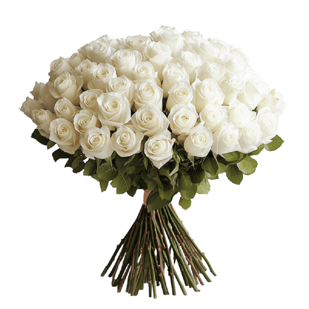 15 белых роз. Бесплатная доставка!!!